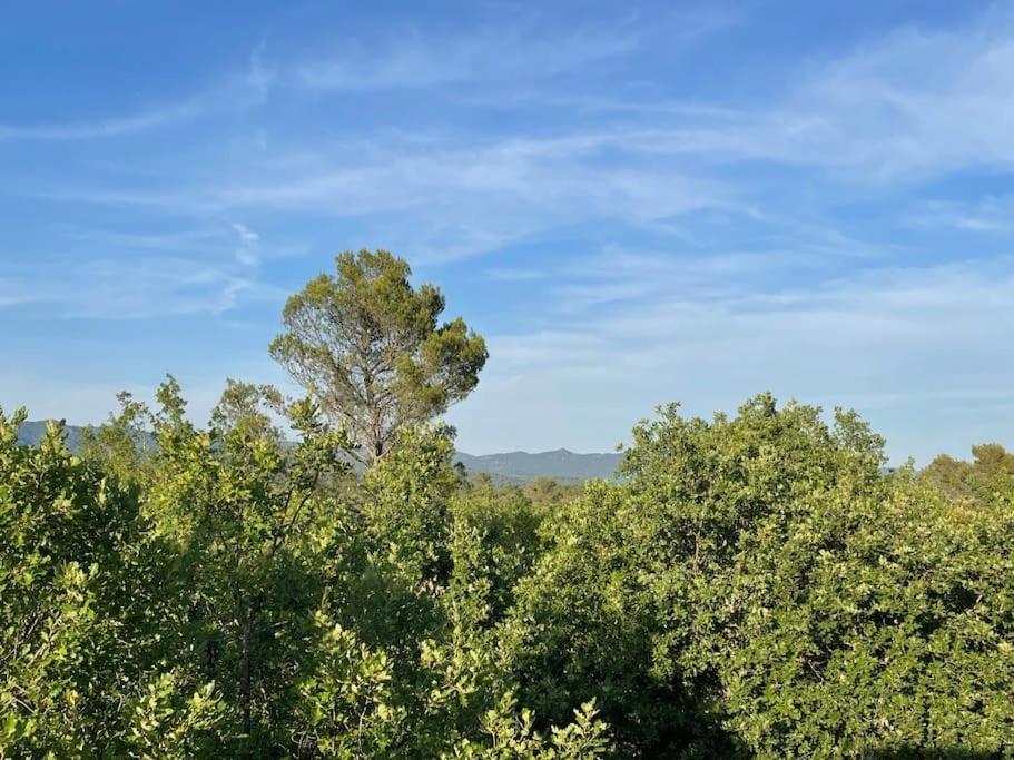 Villa Piscine - Gorges Du Verdon, Lac De Sainte-Croix Régusse 외부 사진